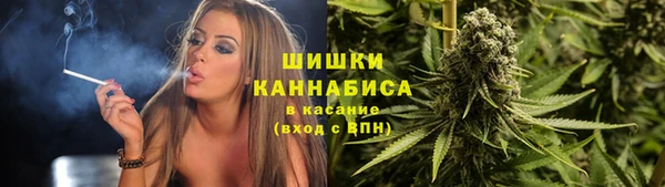 винт Сосновый Бор