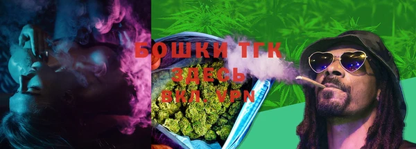винт Сосновый Бор