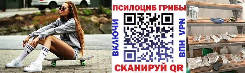 Галлюциногенные грибы Psilocybe OMG зеркало Ишим